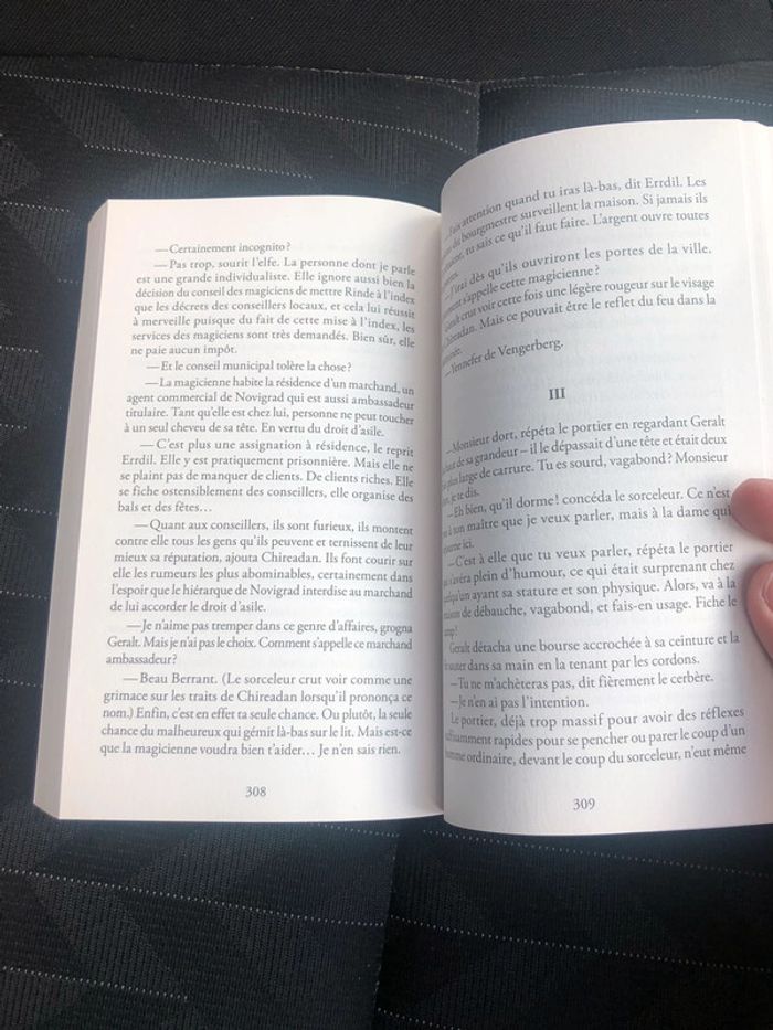 Sorceleur, tome 1 : Le dernier voeu - photo numéro 3