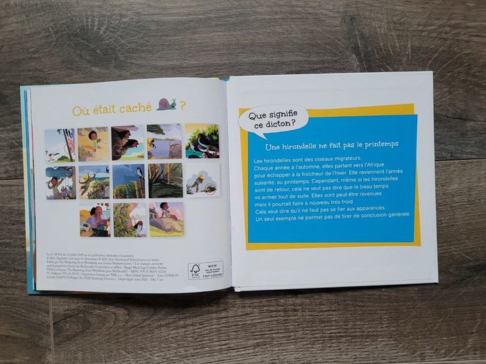 Livre "une hirondelle ne fait pas le printemps " - photo numéro 4