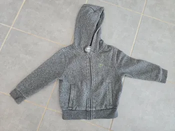 Veste gris Lacoste