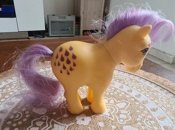 My little poney petit poney Lemon drop 1982