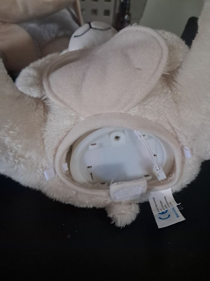 Ours caché coucou gipsy - photo numéro 4