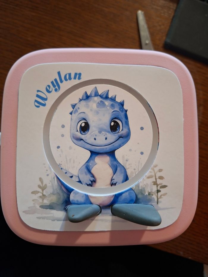 Protection tonies - photo numéro 2