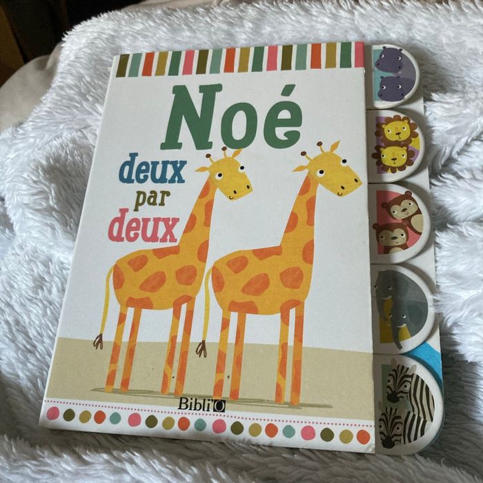 Livre Noé, deux par deux