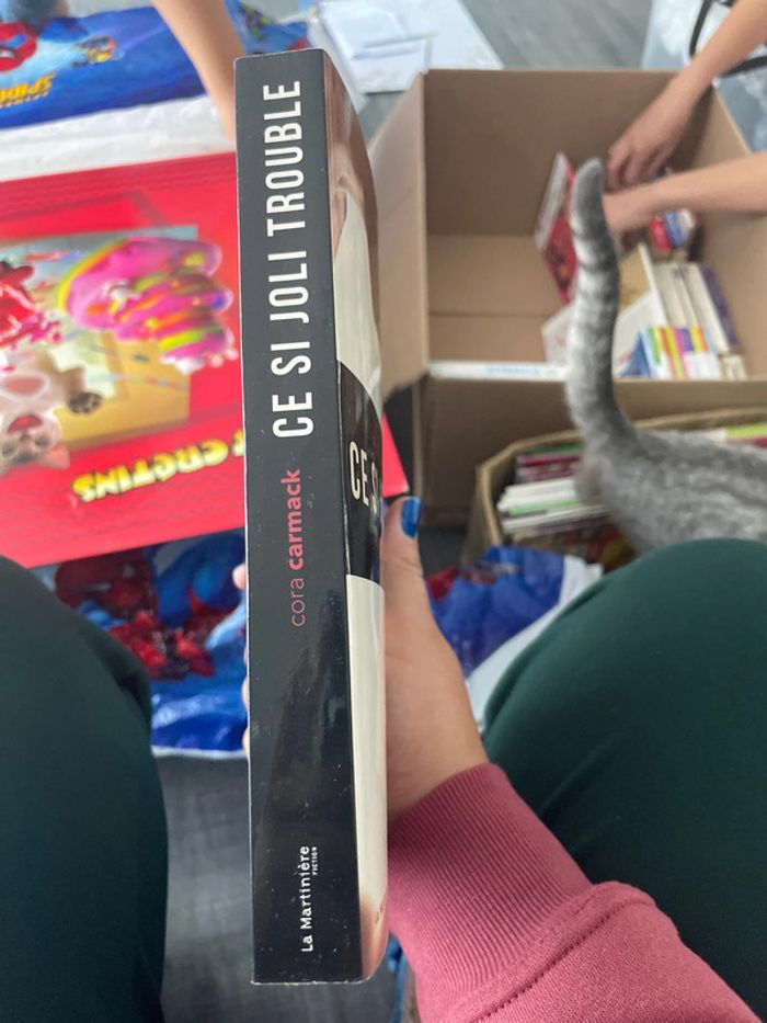 Livre ce si joli trouble de Cora Carmack - photo numéro 2