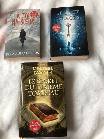 Lot de livres polars