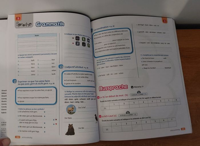 Hab SpaB ! Allemand palier 1 ▪︎ 1ère année  Cahier d'activités - photo numéro 3