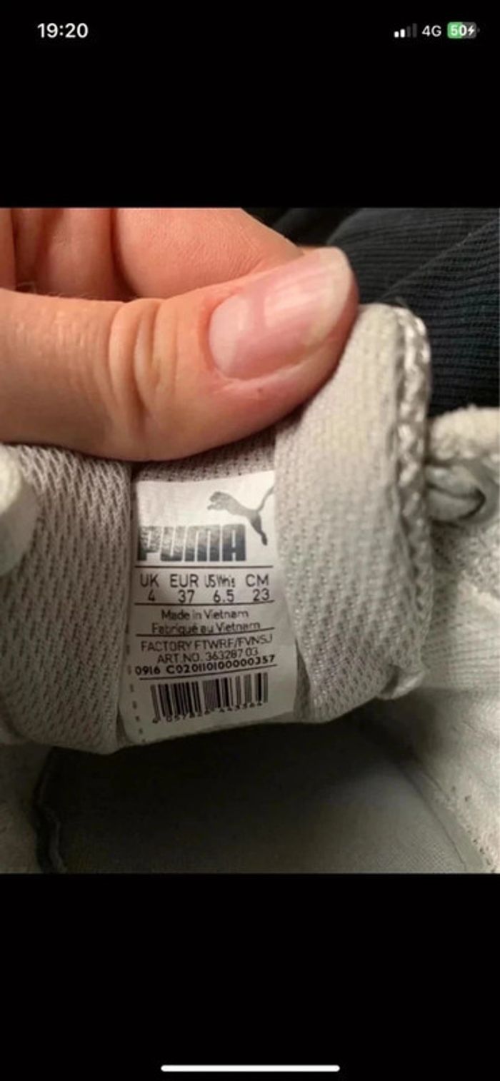 Puma kaki clair - photo numéro 7