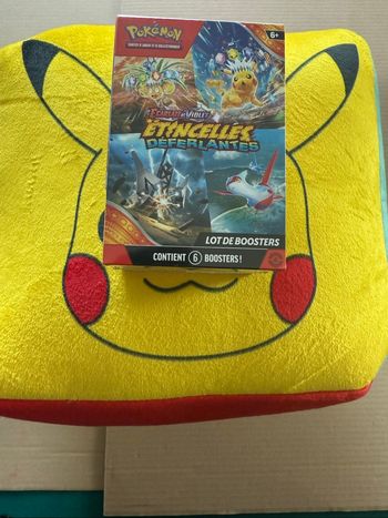 Bundle Pokémon ev8