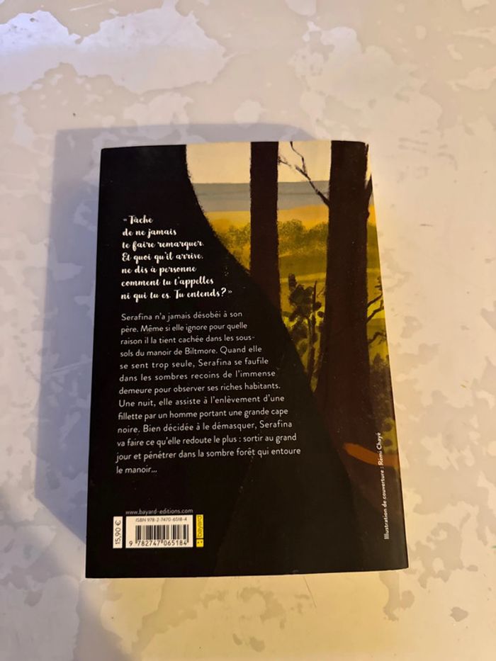 Livre Serafina et la cape noire - Robert Beatty - photo numéro 4