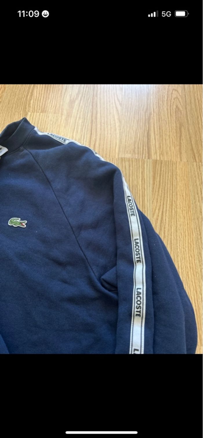 Sweat Lacoste - photo numéro 3