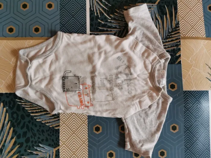 Lot bodies - photo numéro 4