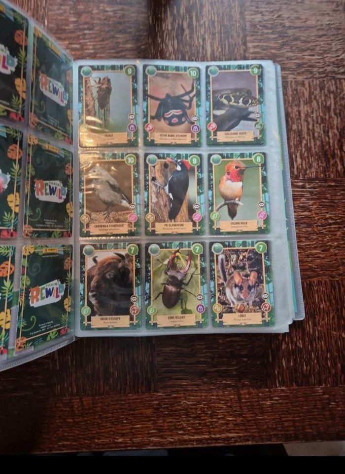 Rewild panini - photo numéro 3