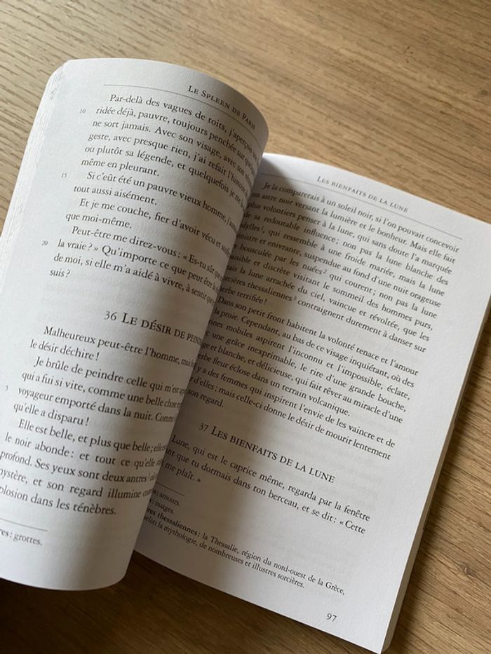 Le Spleen de Paris - Charles Baudelaire - photo numéro 2