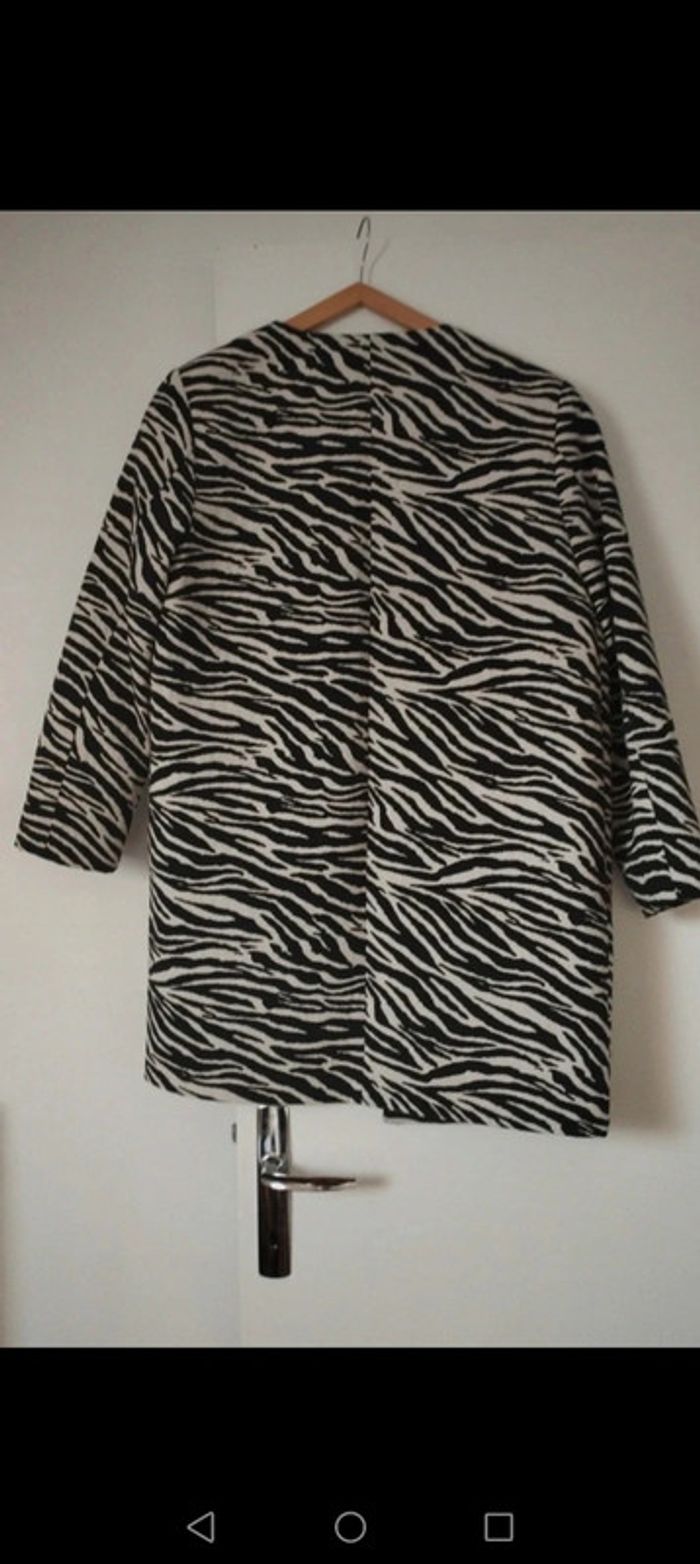 Veste zébrée - photo numéro 4