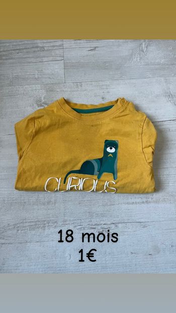 Haut léger manches  longues  18 mois