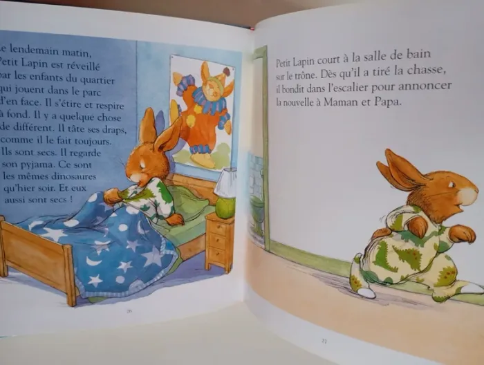 Petit lapin : le pipi au lit - photo numéro 5