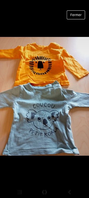 Lot tee shirt manches longues