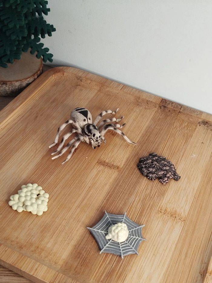 Cycle de vie de l'araignée Figurine Animal de la campagne