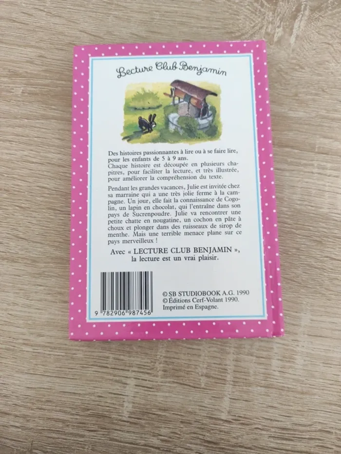 Livre le lapin en chocolat - photo numéro 2