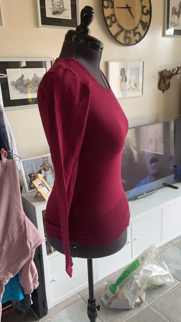 Petit pull - photo numéro 2