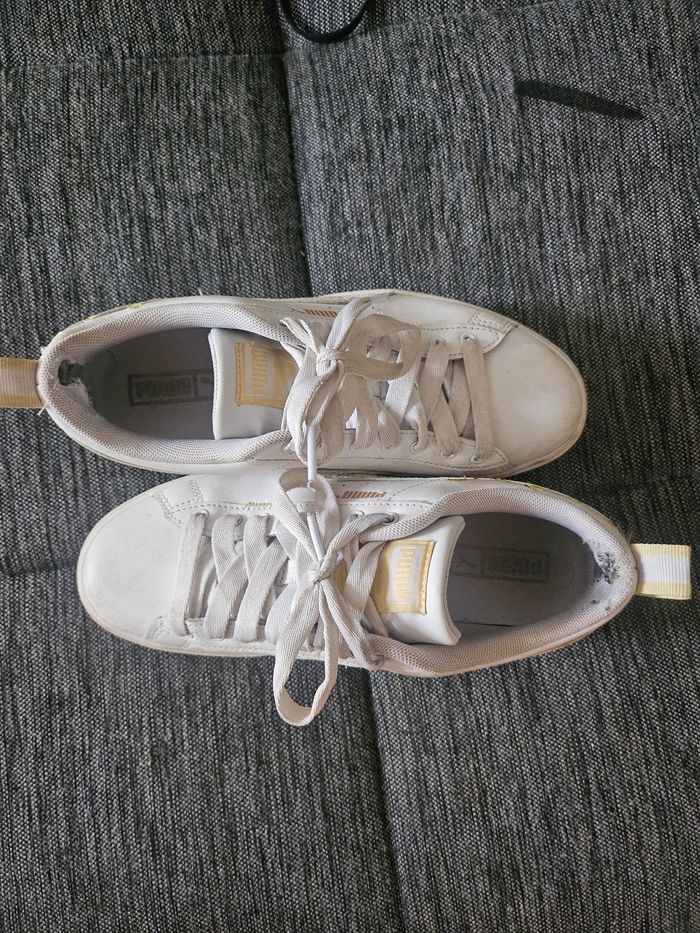 Puma - photo numéro 2