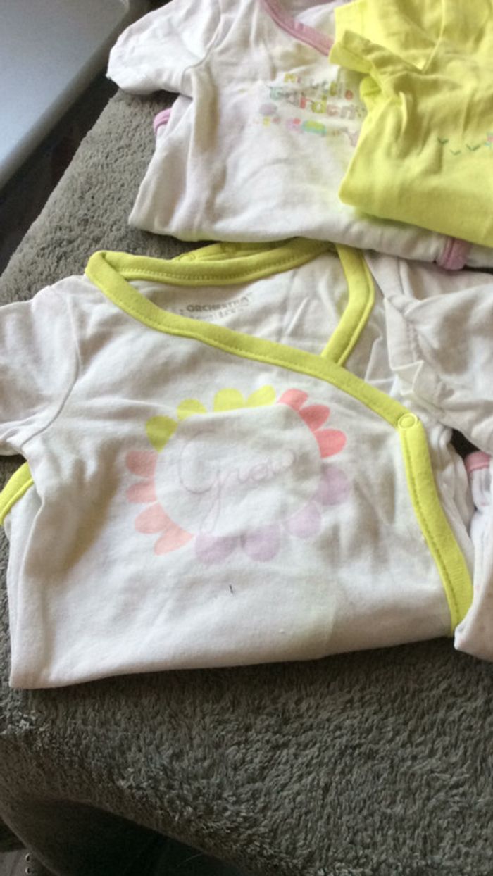 Lot 7 bodies - photo numéro 2