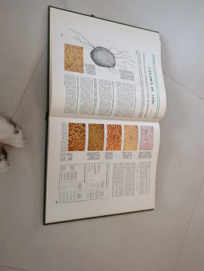 Encyclopédie médecine pour vous tome 3 hachette - photo numéro 2