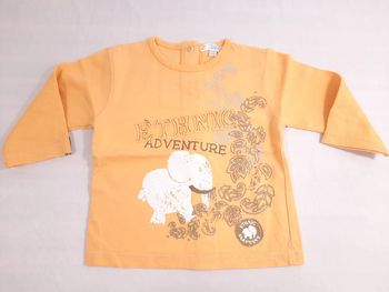 Tee shirt manches longues, 12 mois kitchoun