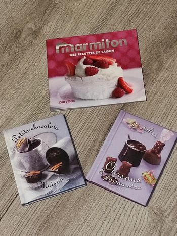 Lot de 3 petits livres de recettes