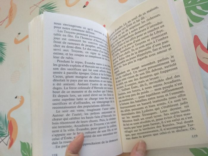 Livre Contes et récits tirés de L'Enéide - photo numéro 6