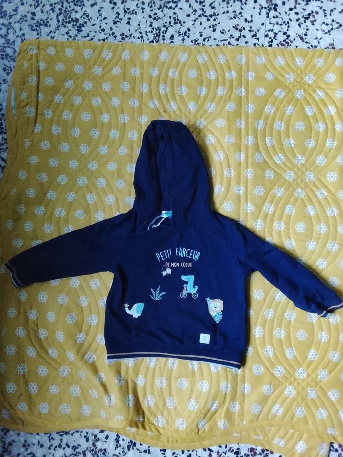 Pull a capuche garçon 23 mois