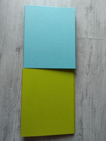 Lot 2 classeurs rigide 4cm