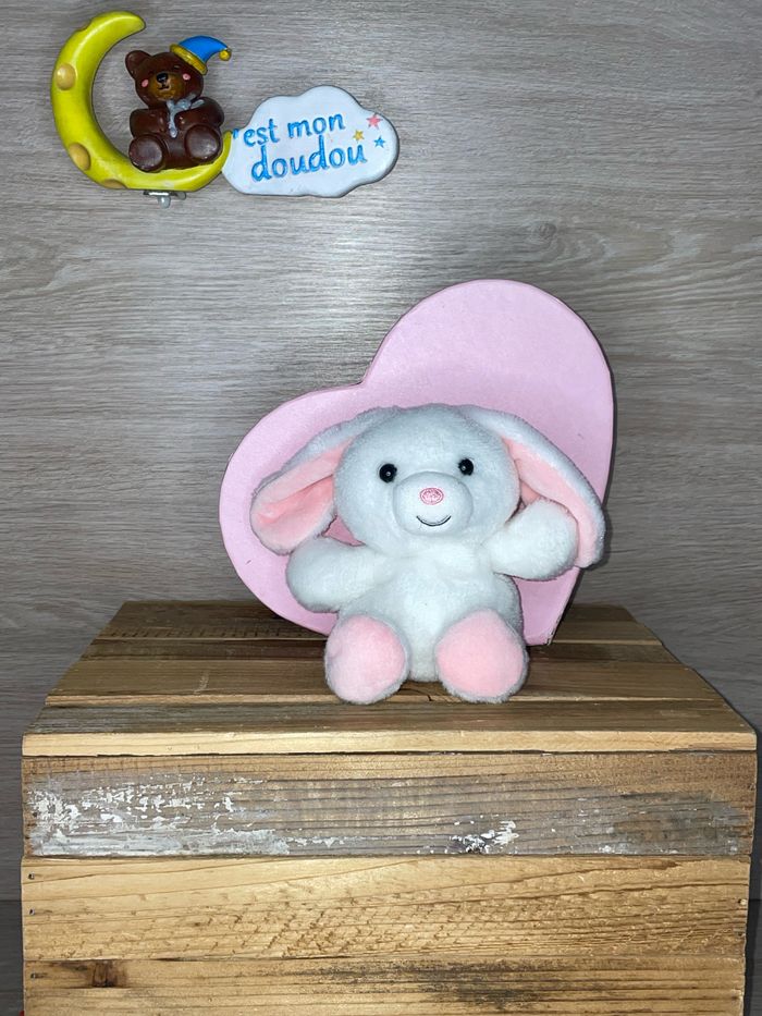GP120 doudou lapin 🐰 Gipsy
