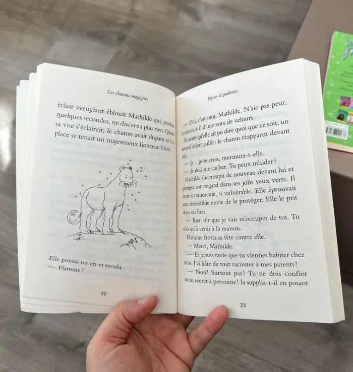 Lot de 2 livres PKJ - photo numéro 3