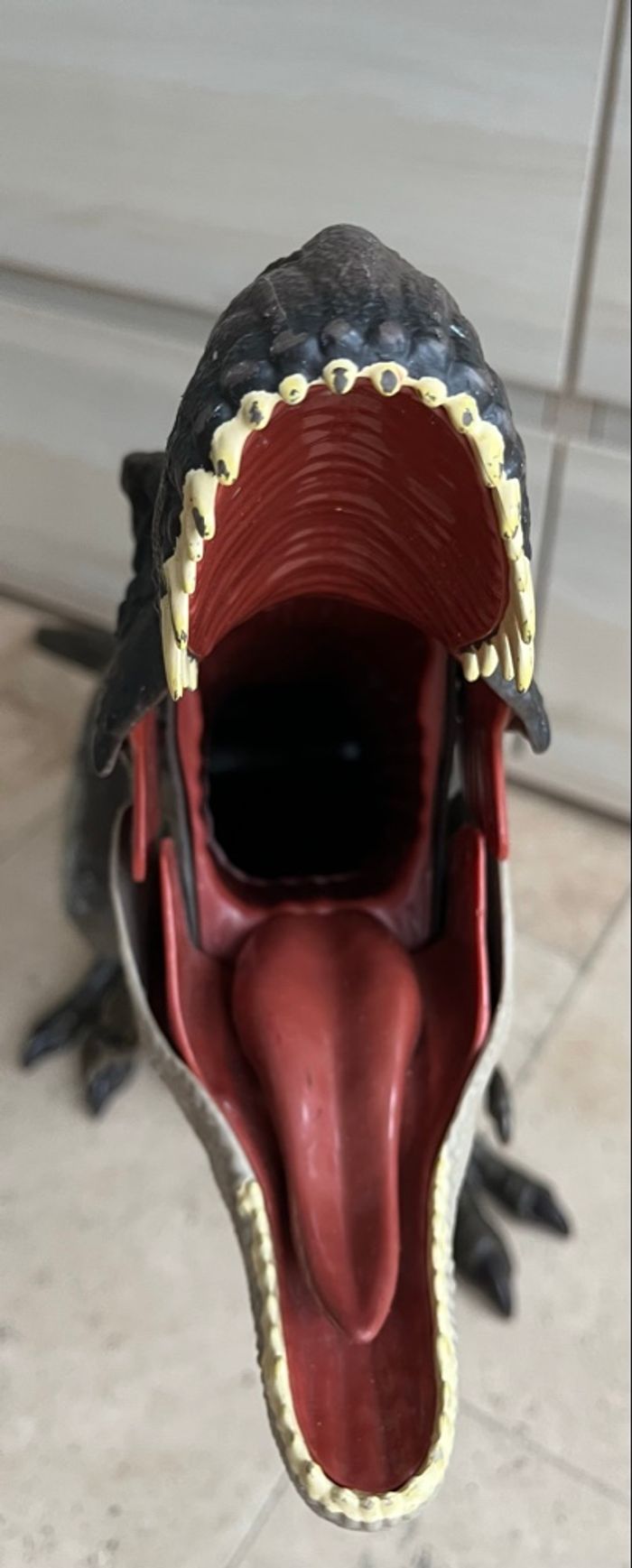 Dinosaure géant - photo numéro 8