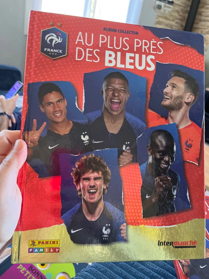 Livre foot panini - photo numéro 2