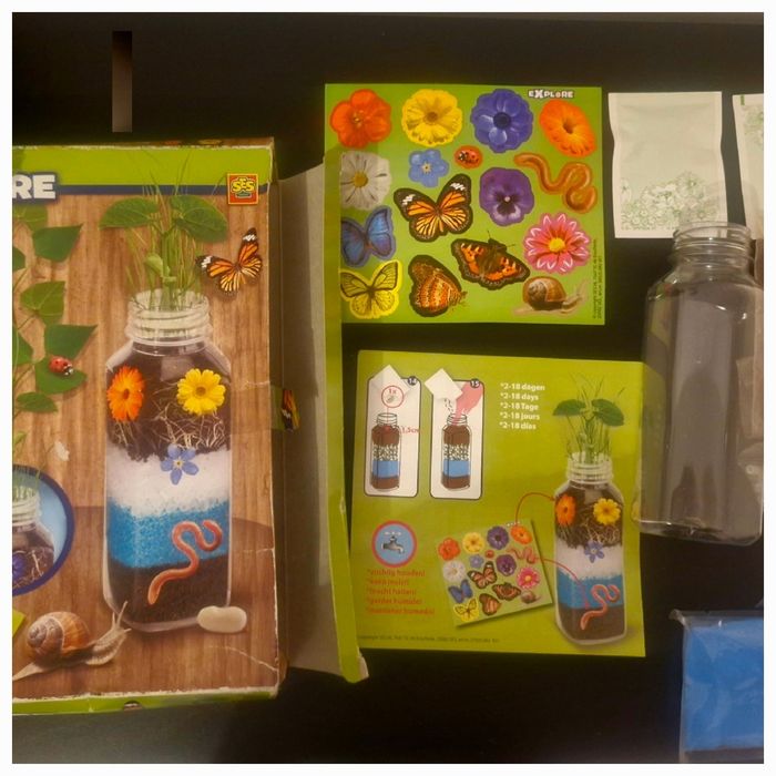 Terrarium Plants Neuf - photo numéro 2