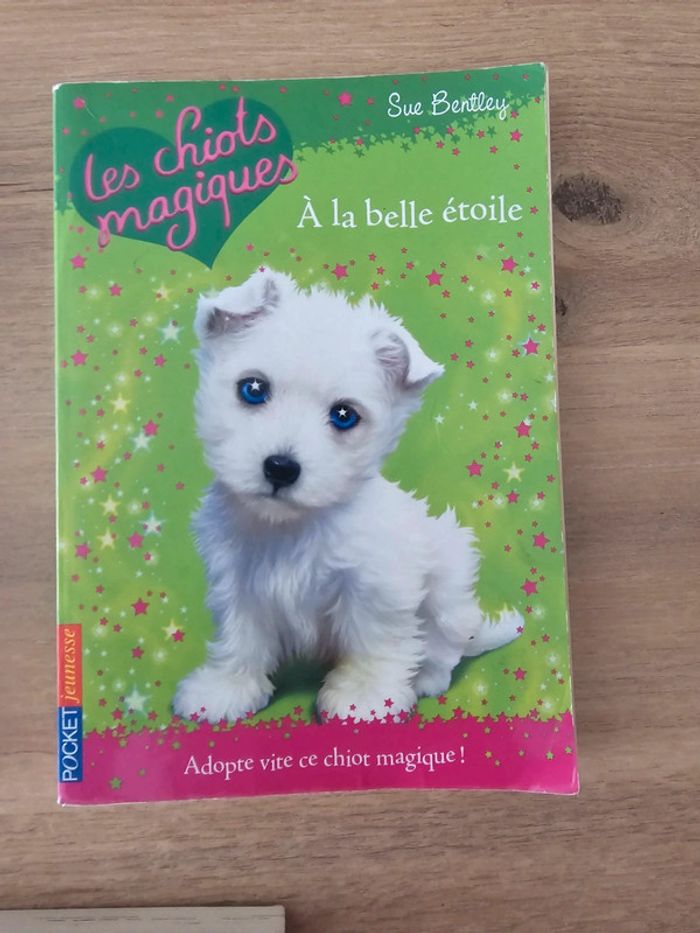 Livre chiots, chatons magiques / poney club enfant - photo numéro 12