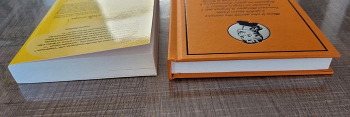 Lot 2 livres neufs sur les mères parfaites - photo numéro 5