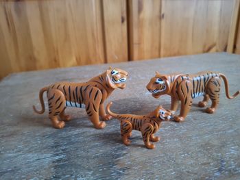 Playmobil Family fun Tigre