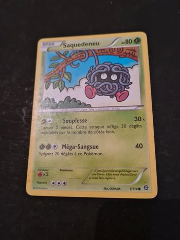 Carte pokémon Saquedeneu 1/114