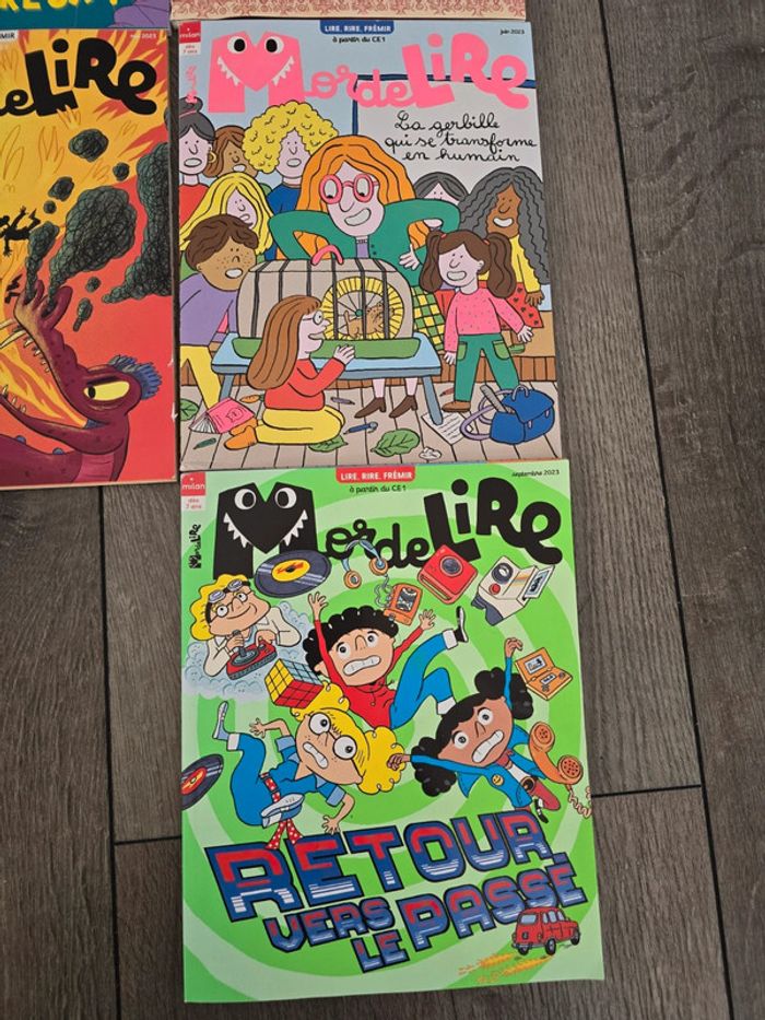 11 livres Mordelire - photo numéro 5