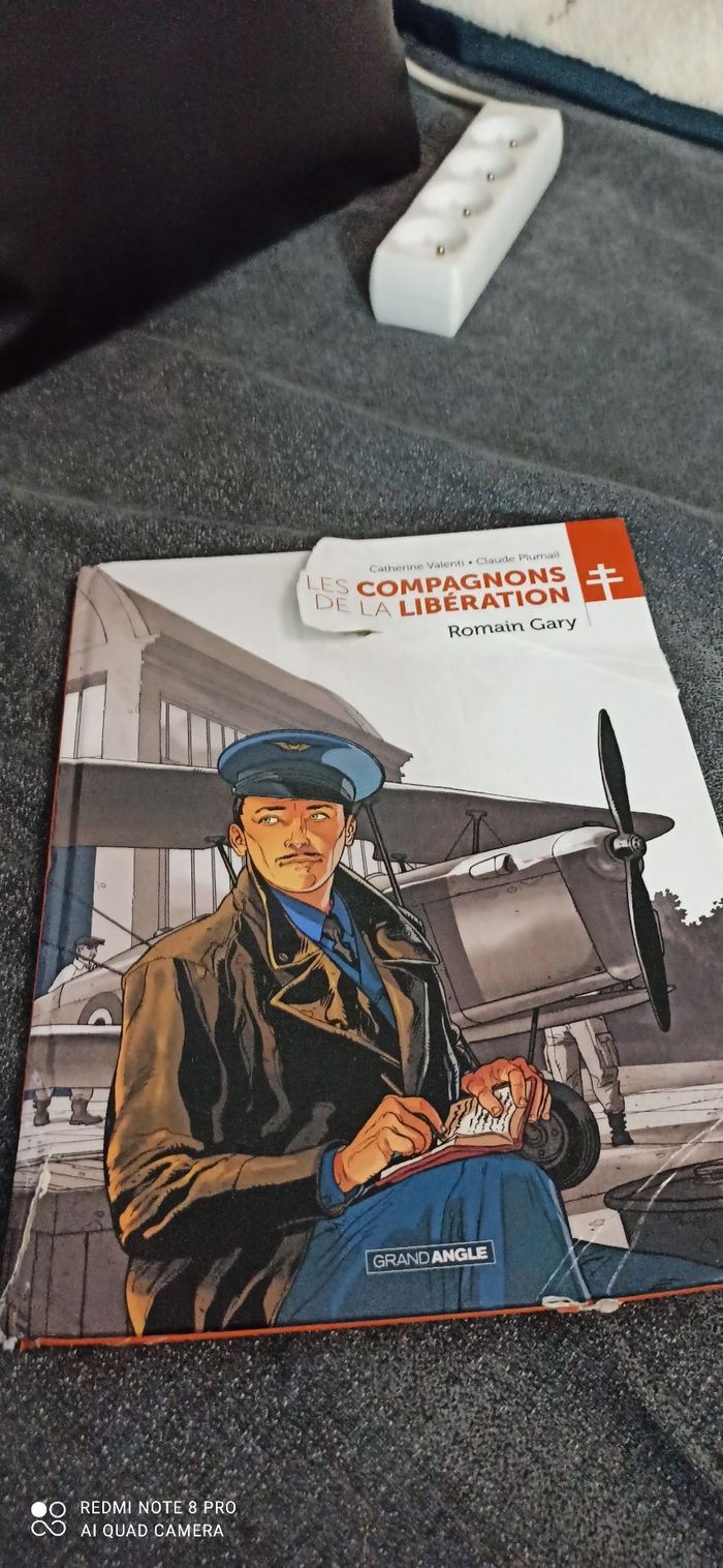 Livre bd les compagnons de la libération