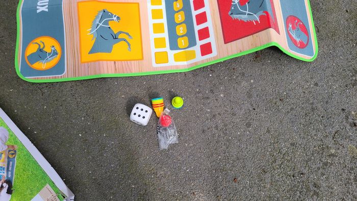 JEU DES PETITS CHEVAUX XL (tapis) - photo numéro 4