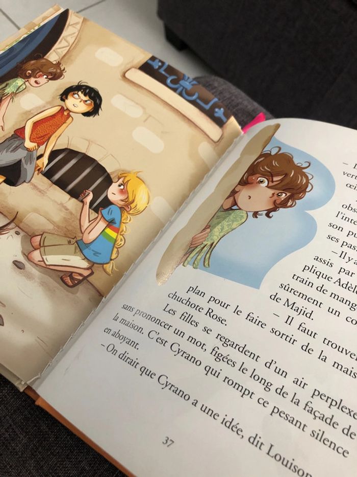 Livre boules de poils et cie - photo numéro 3