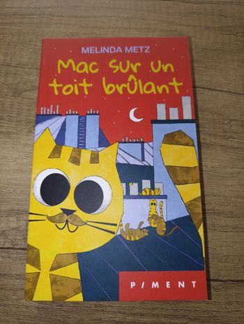 Mac sur un toit brûlant par Melinda Metz