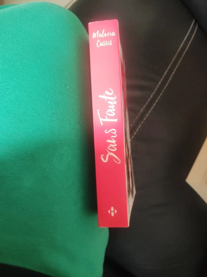 Sans faute - photo numéro 4