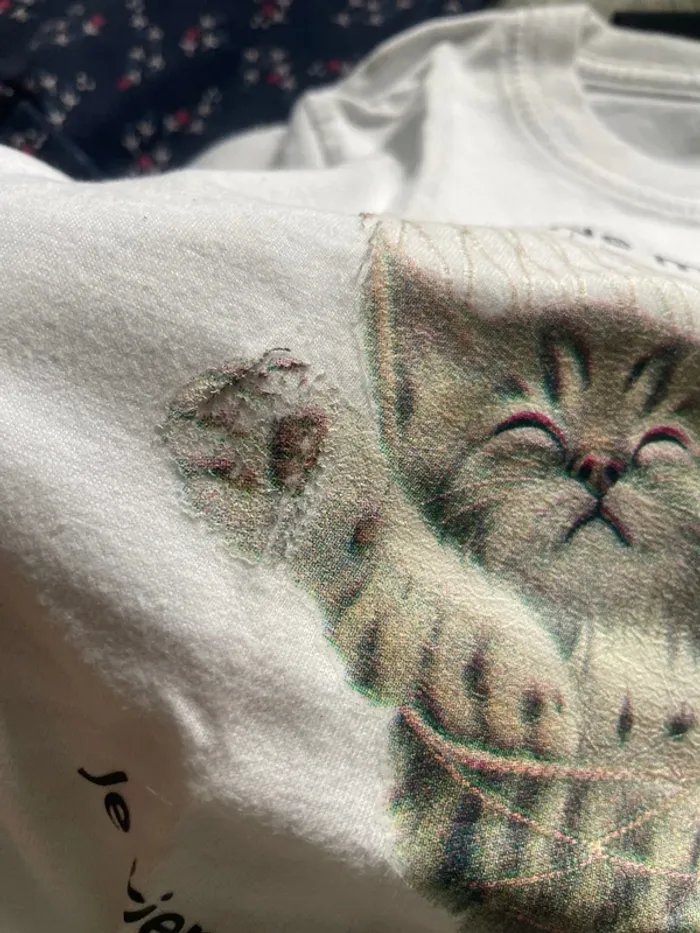 T shirt enfant - photo numéro 3