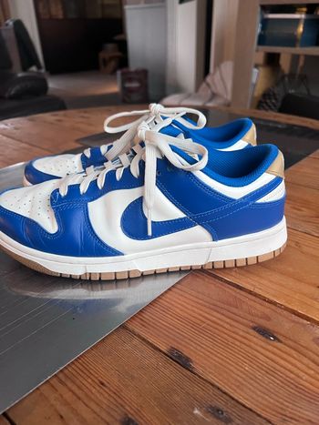 Nike dunk bleu