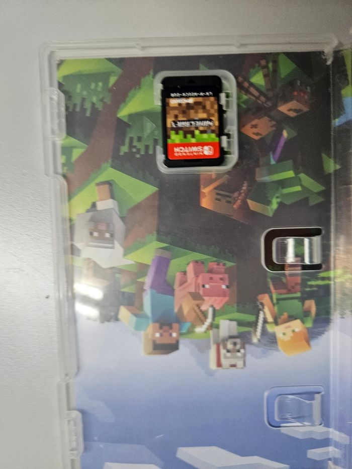 Jeu minecraft - photo numéro 2
